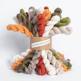 Blue Sky Fibers Woolstok Bundle