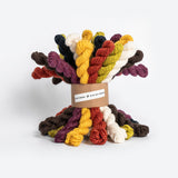 Blue Sky Fibers Woolstok Bundle