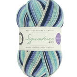 Signature 4 Ply West Yorkshire Spinners