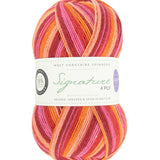 Signature 4 Ply West Yorkshire Spinners