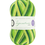 Signature 4 Ply West Yorkshire Spinners