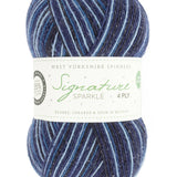 Signature Sparkle 4 Ply West Yorkshire Spinners
