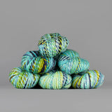 Spincycle Yarns Plump