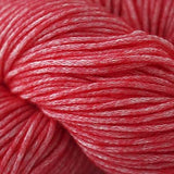 Cascade Yarns Cantata