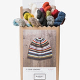 Blue Sky Fibers 21 Color Slouch Kit