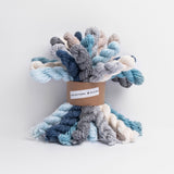 Blue Sky Fibers Woolstok Bundle