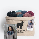 North Star Cowl by Tess Melnick