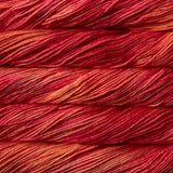 Malabrigo Rios