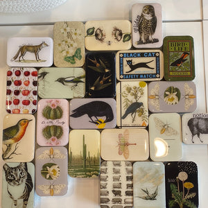 Notion Tins by Firefly Notes