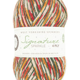 Signature Sparkle 4 Ply West Yorkshire Spinners