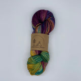 Backcountry Knitter 2-Ply Sock