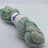 Dream in Color Cosette DK