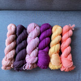 Squish Worsted by The Farmer's Daughter Fibers
