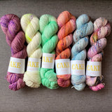 Whisk by Cake Wool