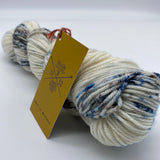 Squish Worsted by The Farmer's Daughter Fibers