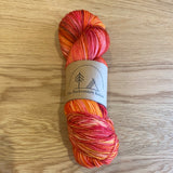 Backcountry Knitter 2-Ply Sock