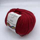 Cascade 220 Superwash