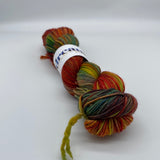 Dream in Color Cosette DK